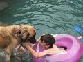 Alex_MooseDiscoversPool (12)